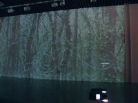 25_forest-angle-viewsmall.jpg
